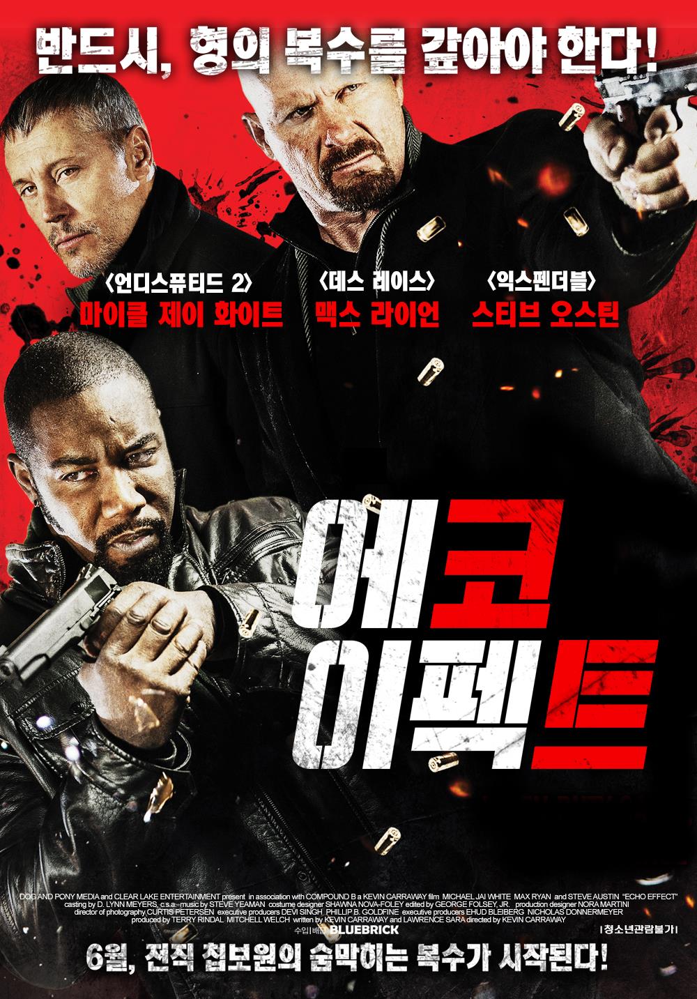 에코 이펙트
